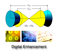 Microscopy Digital Enhancement